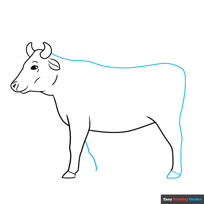 Easy Realistic Cow step-by-step drawing tutorial: step 5