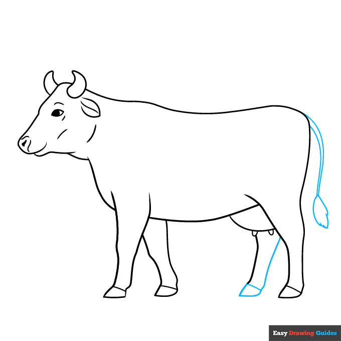 Easy Realistic Cow step-by-step drawing tutorial: step 7
