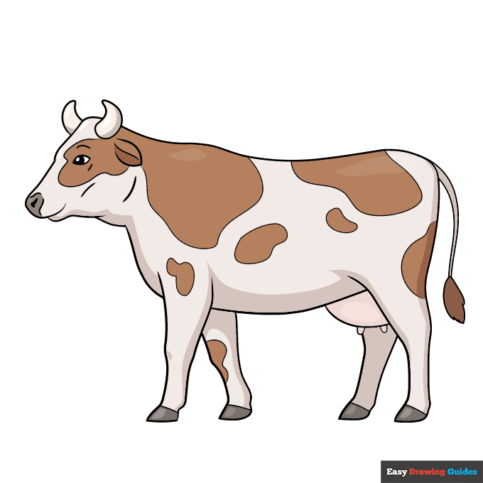 Easy Realistic Cow step-by-step drawing tutorial: step 11