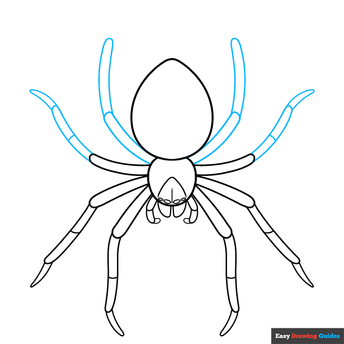Easy Realistic Spider step-by-step drawing tutorial: step 6