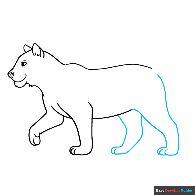 Easy Realistic Tiger step-by-step drawing tutorial: step 5