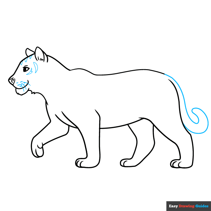 Easy Realistic Tiger step-by-step drawing tutorial: step 6