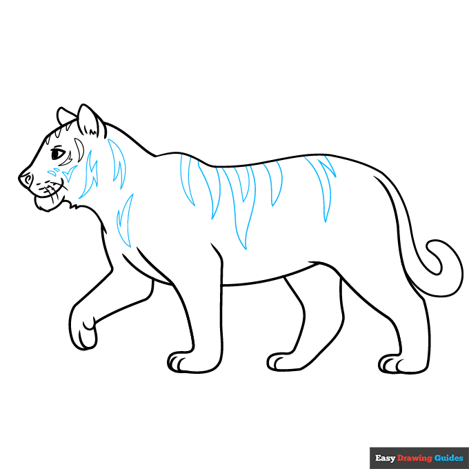 Easy Realistic Tiger step-by-step drawing tutorial: step 7