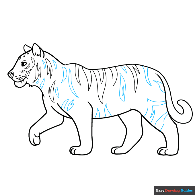 Easy Realistic Tiger step-by-step drawing tutorial: step 8