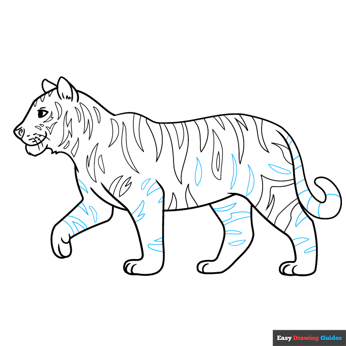 Easy Realistic Tiger step-by-step drawing tutorial: step 9