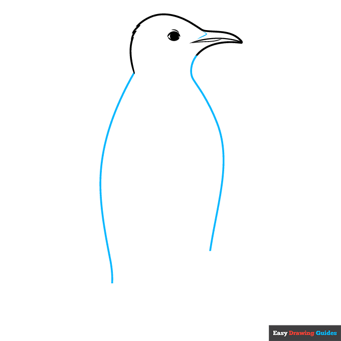 Emperor Penguin step-by-step drawing tutorial: step 3