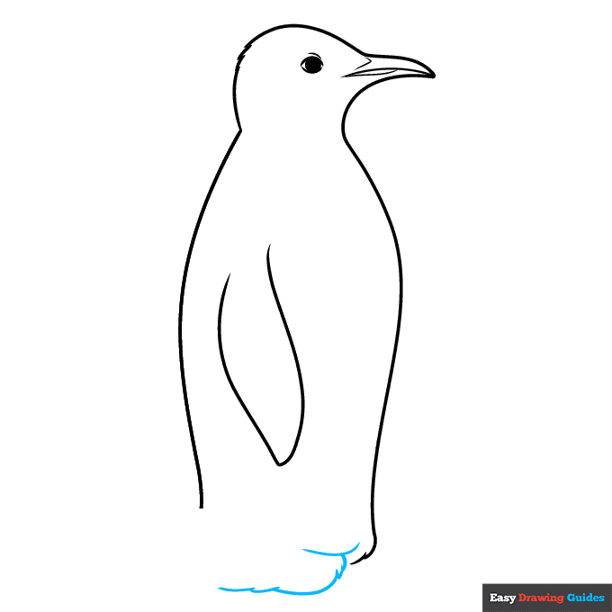 Emperor Penguin step-by-step drawing tutorial: step 5