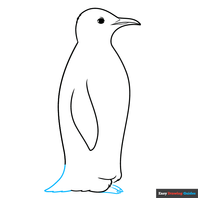 Emperor Penguin step-by-step drawing tutorial: step 6