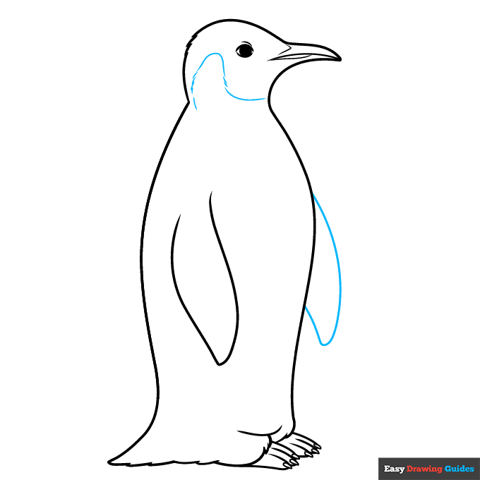 Emperor Penguin step-by-step drawing tutorial: step 8
