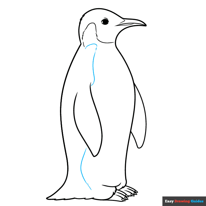 Emperor Penguin step-by-step drawing tutorial: step 9