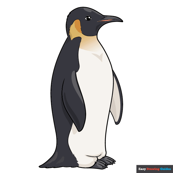 Emperor Penguin step-by-step drawing tutorial: step 11