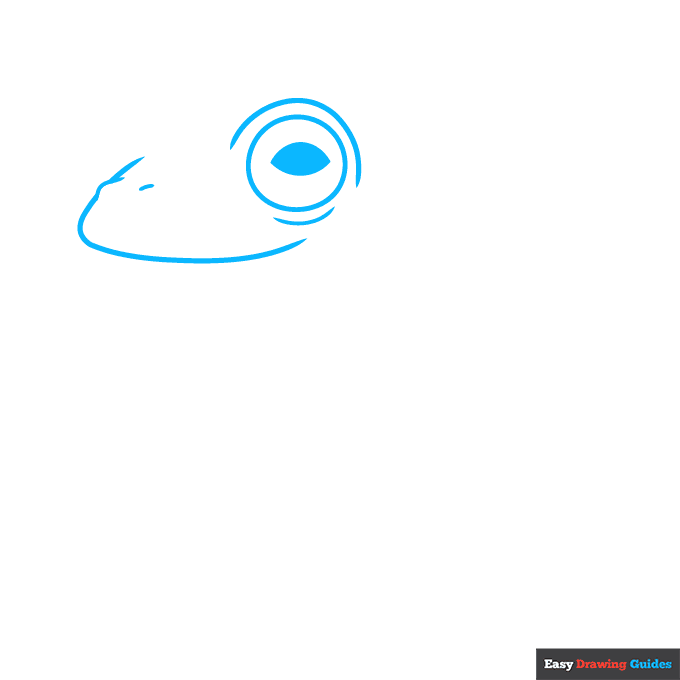 Glass Frog step-by-step drawing tutorial: step 1