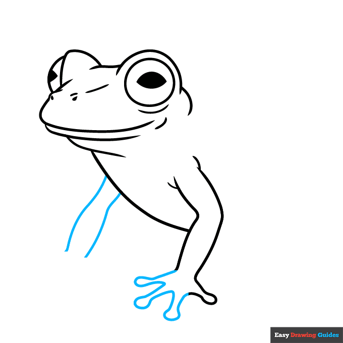 Glass Frog step-by-step drawing tutorial: step 4