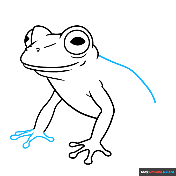 Glass Frog step-by-step drawing tutorial: step 5