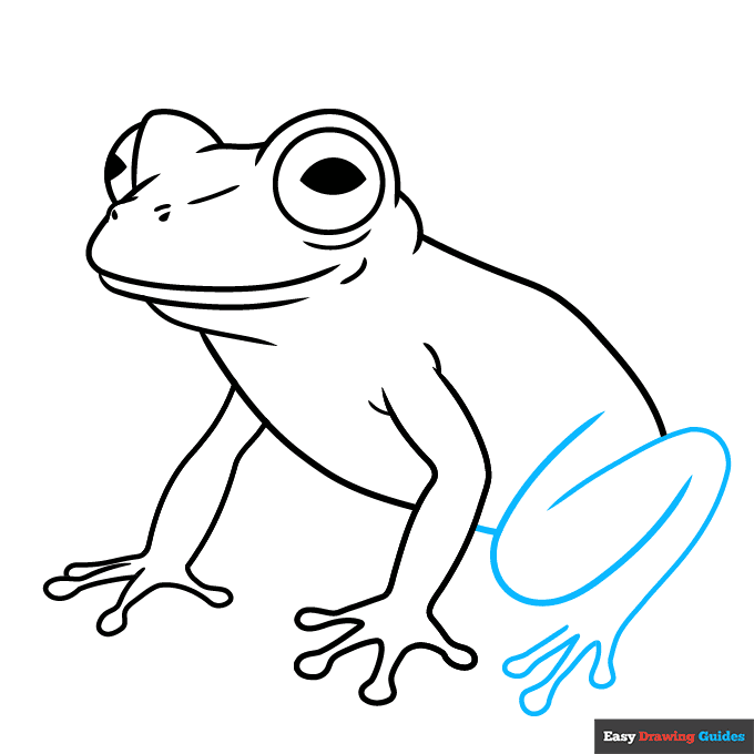 Glass Frog step-by-step drawing tutorial: step 6