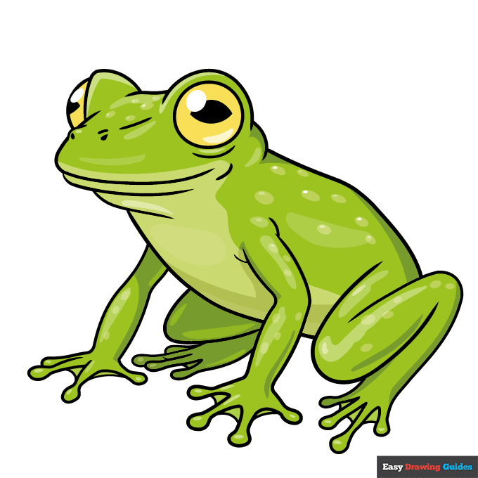Glass Frog step-by-step drawing tutorial: step 11