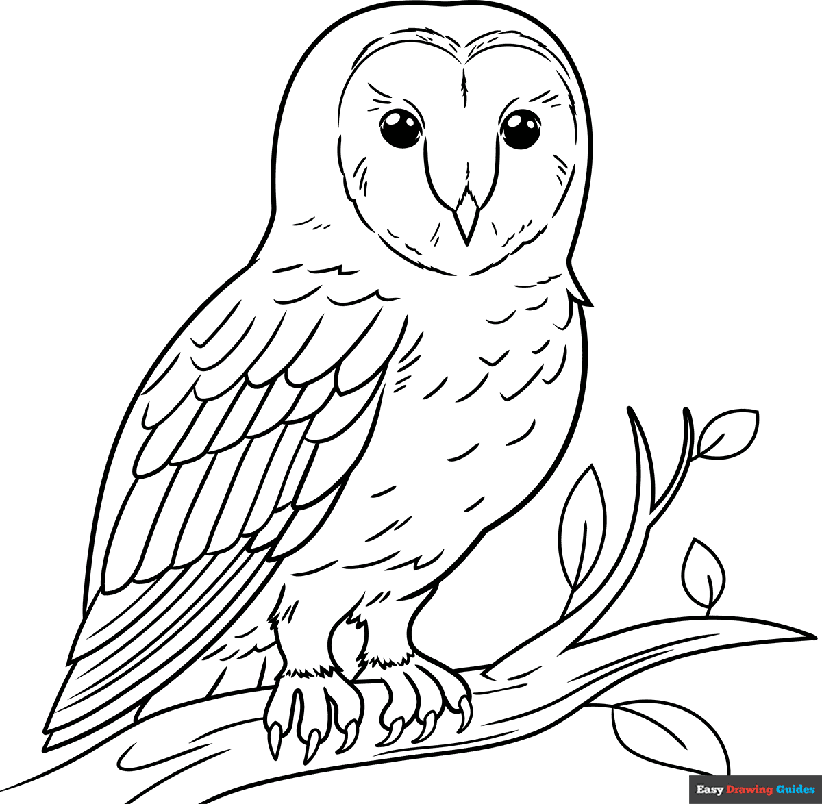 How to Draw a Barn Owl Coloring Image