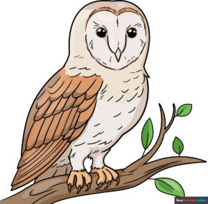 How to Draw a Barn Owl Featured Image