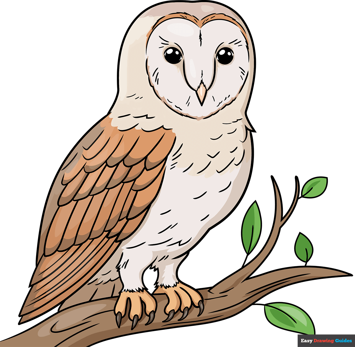 How to Draw a Barn Owl Featured Image