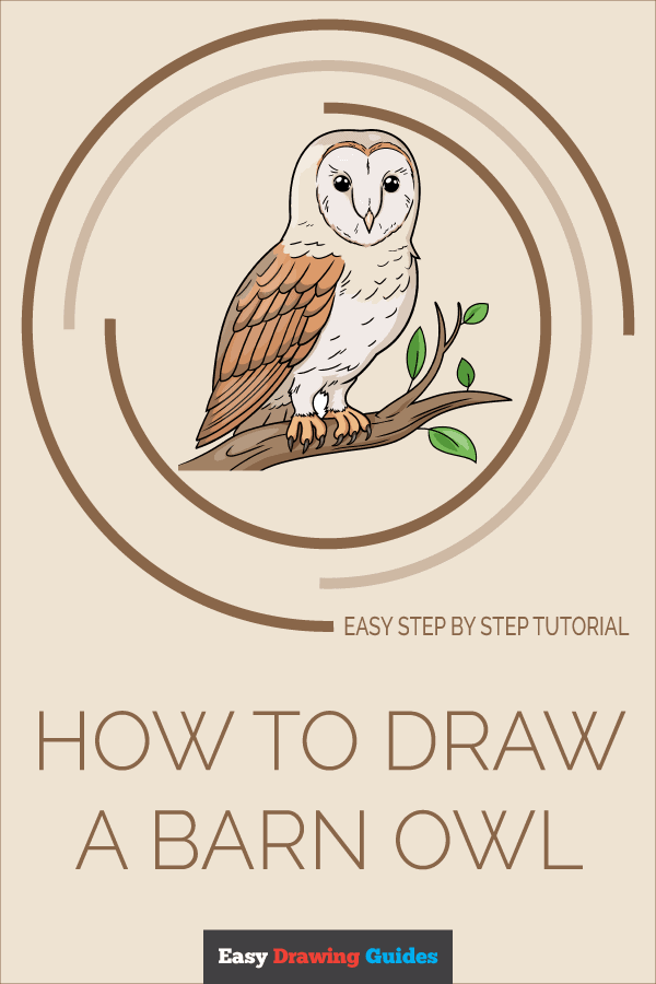 How to Draw a Barn Owl Pinterest Image