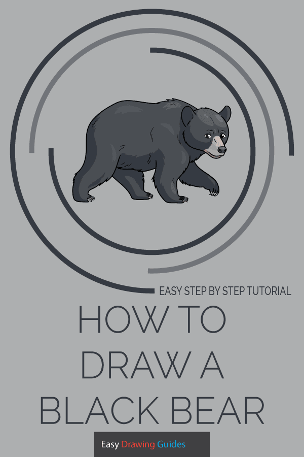 How to Draw a Black Bear Pinterest Image