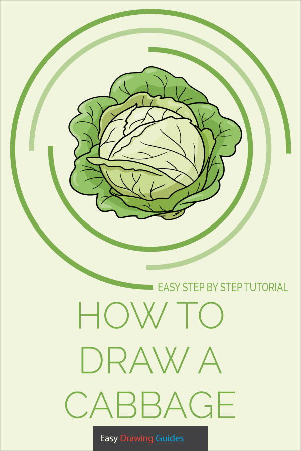 How to Draw a Cabbage Pinterest Image