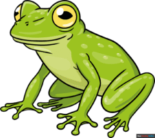 How to Draw a Glass Frog