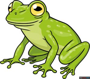 How to Draw a Glass Frog Featured Image