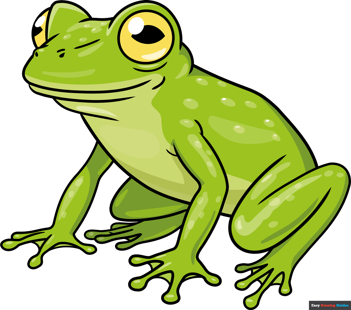 How to Draw a Glass Frog Featured Image