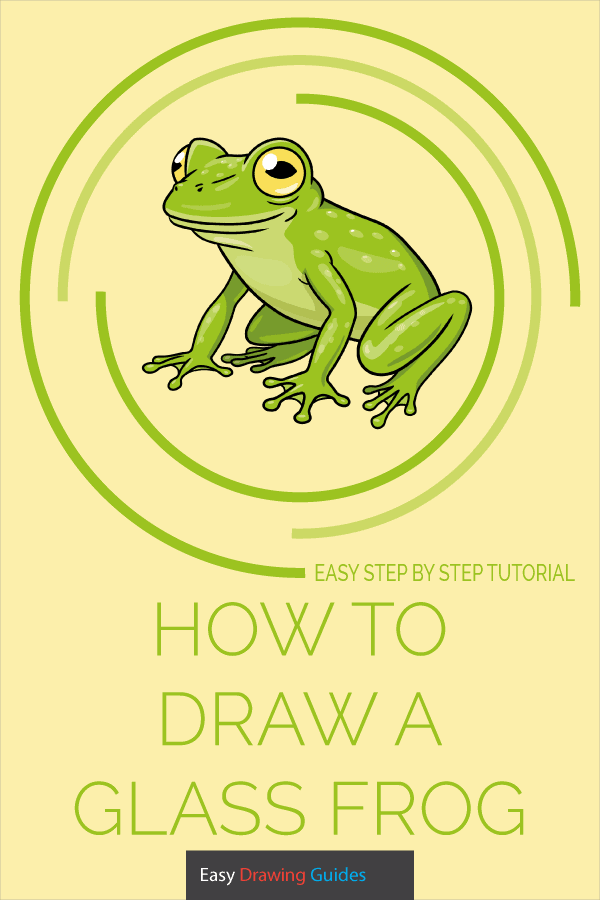 How to Draw a Glass Frog Pinterest Image