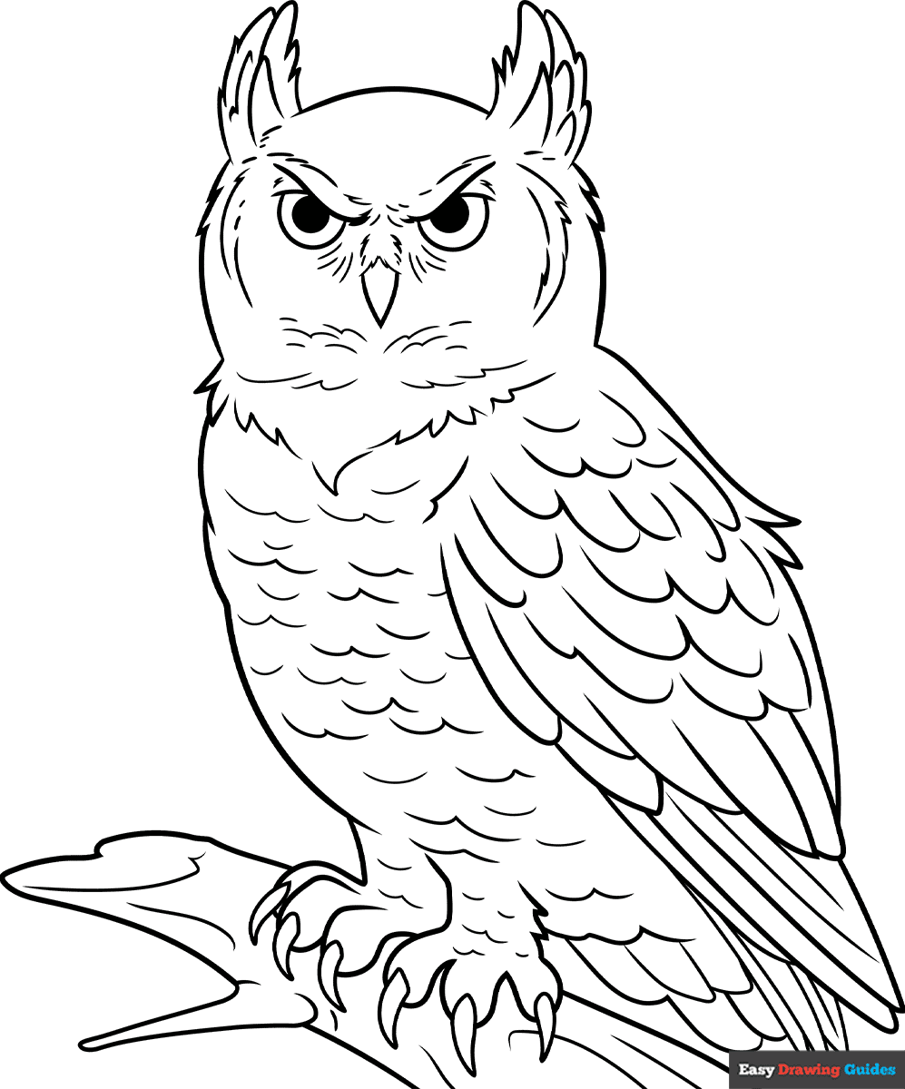 How to Draw a Great Horned Owl Coloring Image