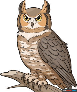 How to Draw a Great Horned Owl Featured Image