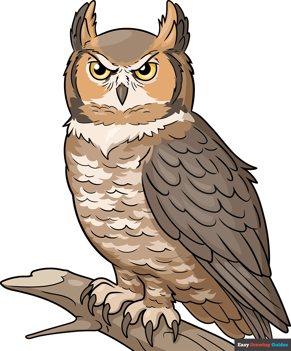 How to Draw a Great Horned Owl Featured Image