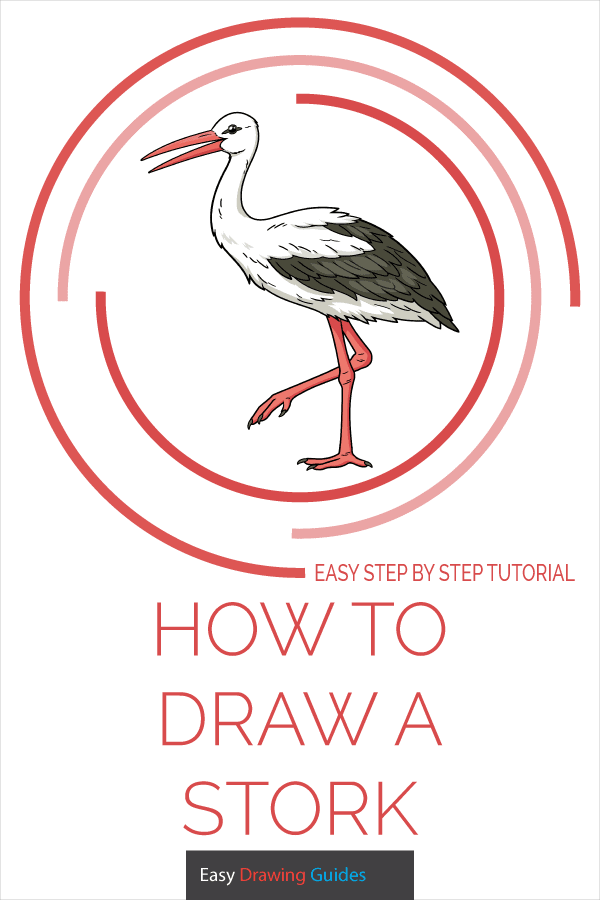 How to Draw a Stork Pinterest Image