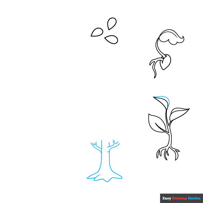 Plant Life Cycle step-by-step drawing tutorial: step 4