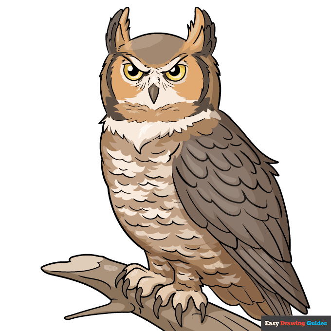 great horned owl step-by-step drawing tutorial: step 10