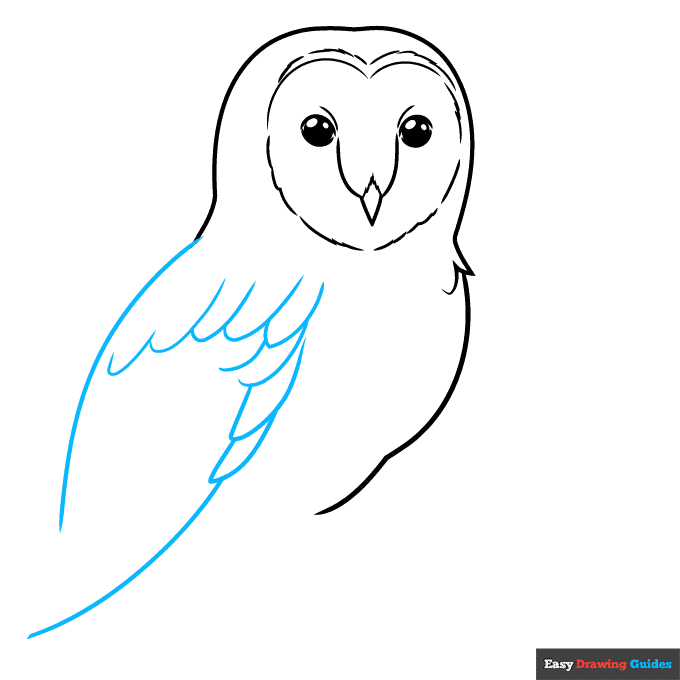 barn owl step-by-step drawing tutorial: step 3
