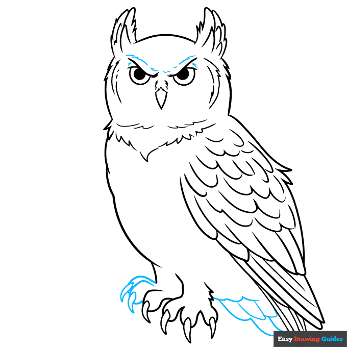 great horned owl step-by-step drawing tutorial: step 7