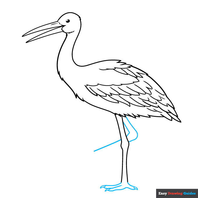 Stork step-by-step drawing tutorial: step 7