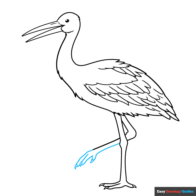 Stork step-by-step drawing tutorial: step 8
