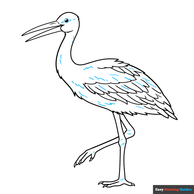 Stork step-by-step drawing tutorial: step 9