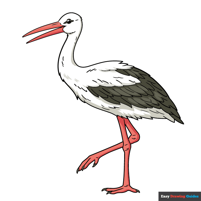 Stork step-by-step drawing tutorial: step 11