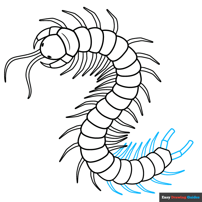 Centipede step-by-step drawing tutorial: step 8