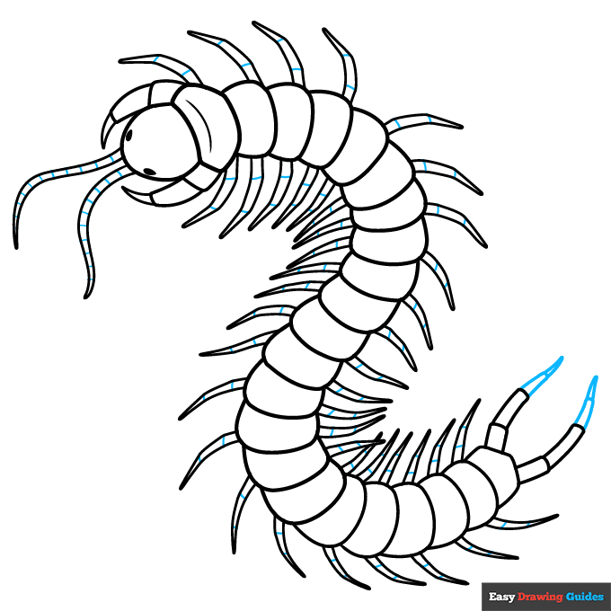 Centipede step-by-step drawing tutorial: step 9
