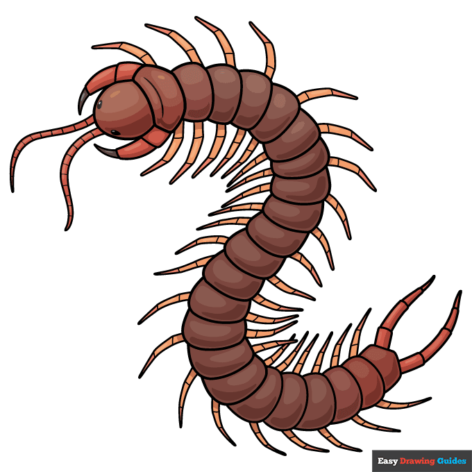 Centipede step-by-step drawing tutorial: step 11
