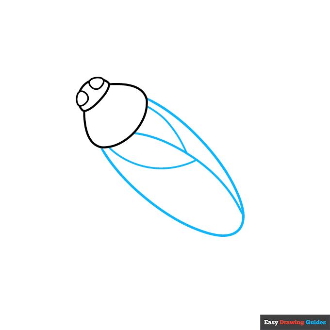 Cockroach step-by-step drawing tutorial: step 2