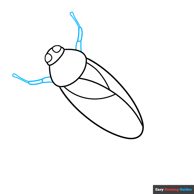 Cockroach step-by-step drawing tutorial: step 3