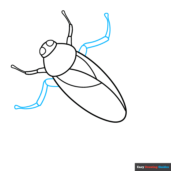 Cockroach step-by-step drawing tutorial: step 4