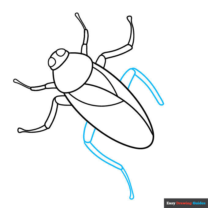 Cockroach step-by-step drawing tutorial: step 5