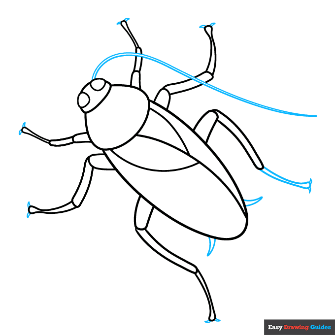 Cockroach step-by-step drawing tutorial: step 6